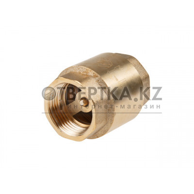 Клапан обратный 1