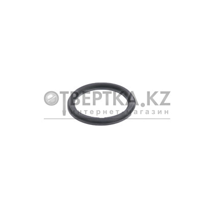 Уплотнительное кольцо для фильтр-насоса Bestway P6029ASS16