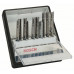 Набор из 10 пильных полотен Bosch Robust Line Metal Expert 2607010541