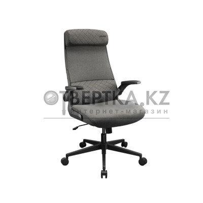 Компьютерное кресло Cougar Stryder Gray 3MSTDGRB.0001