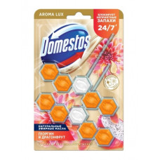 Блок для очищения унитаза AROMA LUX драконий фрукт и георгин 100 гр Domestos 8683130084724