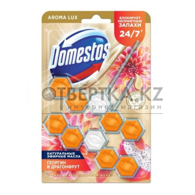 Блок для очищения унитаза AROMA LUX драконий фрукт и георгин 100 гр Domestos 8683130084724