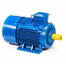 Электродвигатель 5АИ 01.01.213464