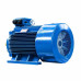 Электродвигатель 5АИ 355 MLA8 IM1001 01.01.221561