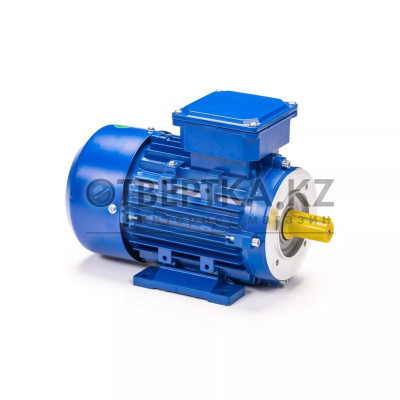 Электродвигатель 5АИ 90 L6 FT115 IM2181 01.01.221998