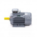 Электродвигатель ESQ PR 132 M4 GST-Б1-S12-IE2 IM1081 01.01.223768