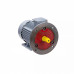 Электродвигатель ESQ PR 160 S6 GST-Б1-S12-IE2 IM2001 01.01.223776