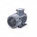 Электродвигатель ESQ PR 160 M6 GST-Б1-S12-IE2 IM1001 01.01.223781