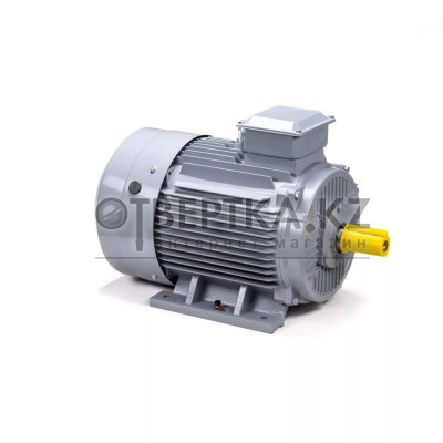 Электродвигатель ESQ PR 200 M2 GST-Б1-S12-IE2 IM1001 01.01.223794