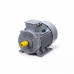 Электродвигатель ESQ PR 200 M2 GST-Б1-S12-IE2 IM1001 01.01.223794