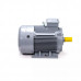 Электродвигатель ESQ PR 200 M2 GST-Б1-S12-IE2 IM1001 01.01.223794