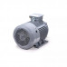 Электродвигатель ESQ PR 200 M2 GST-Б1-S12-IE2 IM1001 01.01.223794