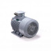Электродвигатель ESQ PR 200 M2 GST-Б1-S12-IE2 IM1001 01.01.223794