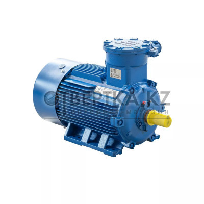 Электродвигатель АИМУ 200 L6 IM1001 01.02.02.003632