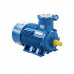 Электродвигатель АИМУ 200 L6 IM1001 01.02.02.003632