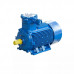 Электродвигатель АИМУ 200 L6 IM1001 01.02.02.003632