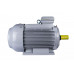Электродвигатель ESQ PR 280 M2 SDN Б1-S12-IE2 IMB3 01.05.02.000030