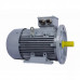 Электродвигатель ESQ PR 112 M4 SDN Б1-S12-IE2 IMB35 01.05.02.000046