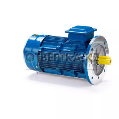 Электродвигатель ESQ 63 D4 SDN IMB5 01.05.219856