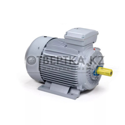 Электродвигатель ESQ PR 225 M6 SDN Б1-S12-IE3 IMB3 01.05.223123