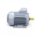 Электродвигатель ESQ PR 225 M6 SDN Б1-S12-IE3 IMB3 01.05.223123