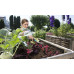 Культиватор Gardena 08957-20