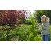Ножницы садовые Gardena 12302-20