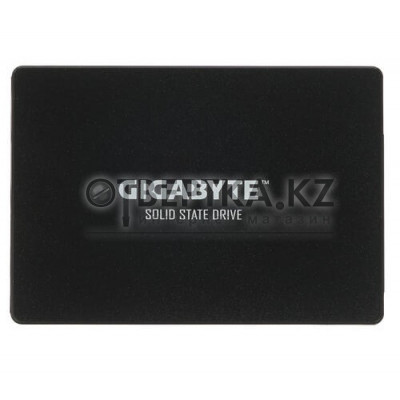 Твердотельный накопитель внутренний Gigabyte GP-GSTFS31100TNTD