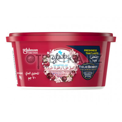 Мини-гель Glade 5000204090901