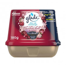 Аромагель GLADE 5000204134872