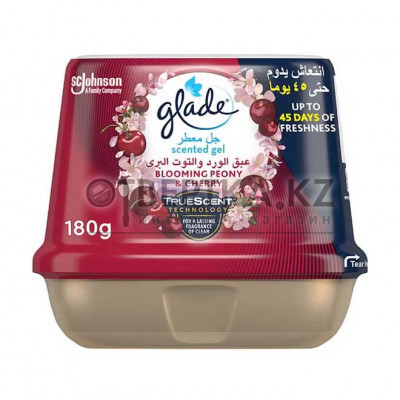 Аромагель GLADE 5000204134872