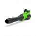 Воздуходувка Greenworks GD40BG3 2408207UB