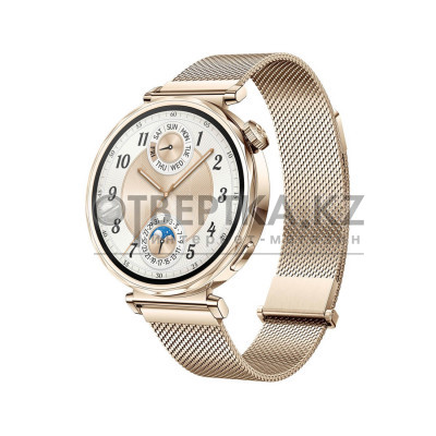 Смарт часы Huawei Watch GT 5 JNA-B19 41mm Gold Milanese Strap 55020DGX