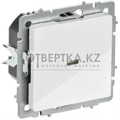 BRITE Розетка USB C 65Вт высокоскоростная зарядка РЮ12-1-БрБ белый IEK BR-U13-065-K01