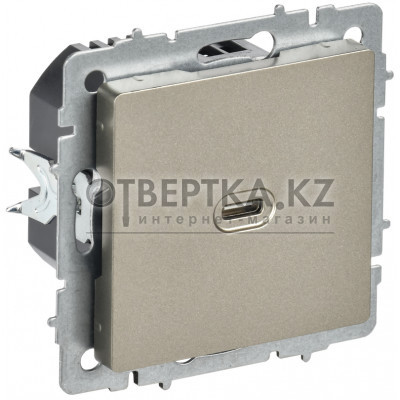 BRITE Розетка USB C 65Вт высокоскоростная зарядка РЮ12-1-БрШ шампань IEK BR-U13-065-K37