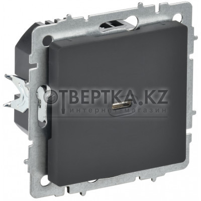 BRITE Розетка USB C 65Вт высокоскоростная зарядка РЮ12-1-БрГ графит IEK BR-U13-065-K53