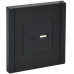 FORTE&PIANO Розетка USB AC 3,1А FP150 черный IEK FP-U22-D31-K02