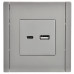 FORTE&PIANO Розетка USB AC 3,1А FP550 сталь IEK FP-U22-D31-K46