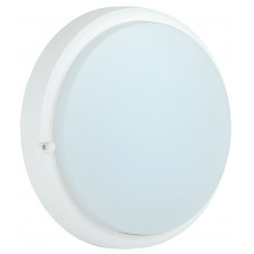 Светильник светодиодный ДПО 4005 8Вт 6500K IP54 круг белый IEK LDPO0-4005-8-6500-K01