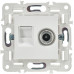 SKANDY Розетка двойная TVRJ45 кат.6 SK-A15W арктический белый IEK SK-AK20-2-K01