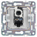 SKANDY Розетка компьютерная RJ45 кат.5E SK-K01N металл никель IEK SK-K10-1-K50