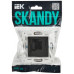 SKANDY Розетка компьютерная RJ45 кат.6 SK-K02G графит IEK SK-K10-2-K53