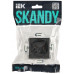 Розетка IEK SKANDY 10А SK-R02G SK-R10-10-K53 