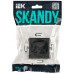 SKANDY Розетка без заземления с защитными шторками 10А SK-R01G графит IEK SK-R13-10-K53
