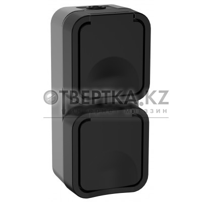 TORS Розетка 2-местная вертикальная 16А IP55 TS132 графит IEK TS-R26-16-55-V-K53