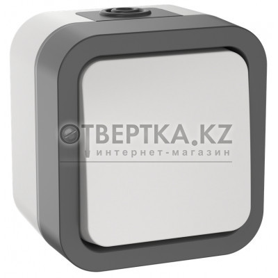 TORS Переключатель одноклавишный 10А IP55 TS201 серо-белый IEK TS-V10-0-10-55-K41