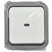 TORS Переключатель одноклавишный с индикацией 10А IP55 TS202 серо-белый IEK TS-V10-1-10-55-K41