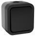 TORS Выключатель двухполюсный одноклавишный 10А IP55 TS111 графит IEK TS-V16-0-10-55-K53