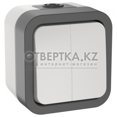 TORS Выключатель двухклавишный 10А IP55 TS205 серо-белый IEK TS-V20-0-10-55-K41