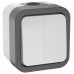 TORS Выключатель двухклавишный 10А IP55 TS205 серо-белый IEK TS-V20-0-10-55-K41